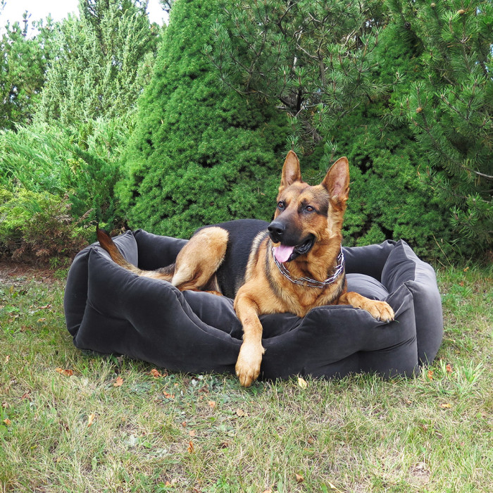 Cama para mascotas PET BED L